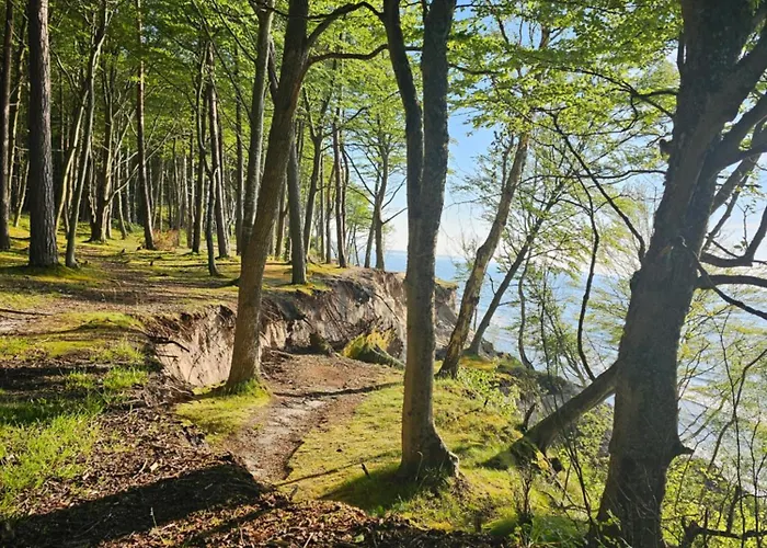 10b Niebieskie Z Basenem Krytym, Odkrytym, Sala Zabaw, Animacjami Поддомбе