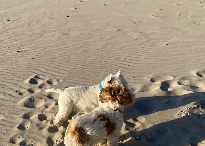 Апартаменты 10b Niebieskie Z Basenem Krytym, Odkrytym, Sala Zabaw, Animacjami